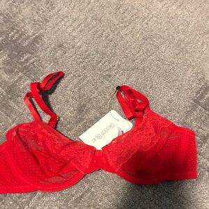 Skarlett Blue Vibrant Red Lace Bra